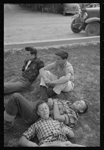 Untitled photo, possibly related to: El Centro (vicinity), California. Young people at the Imperial County Fair