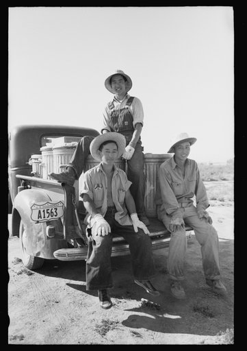 Nyssa, Oregon. FSA (Farm Security Administration) mobile camp. Japanese-Americans dumping garbage. All occupants of the camp spend two hours a week in maintenance work