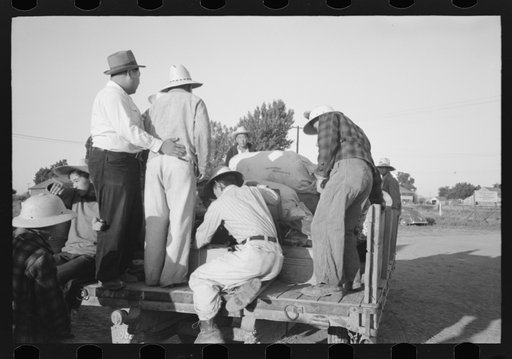Untitled photo, possibly related to: Nyssa, Oregon. FSA (Farm Security Administration) mobile camp. Japanese-Americans leaving the camp to work in the fields