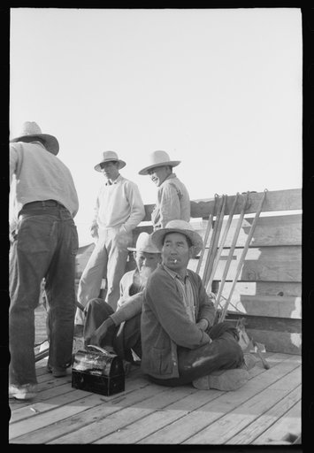 Nyssa, Oregon. FSA (Farm Security Administration) mobile camp. Trucks provided by local farmers are transporting Japanese-Americans from camp to the fields