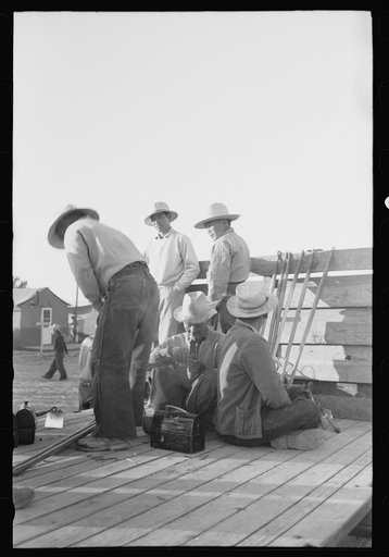 Untitled photo, possibly related to: Nyssa, Oregon. FSA (Farm Security Administration) mobile camp. Trucks provided by local farmers are transporting Japanese-Americans from camp to the fields