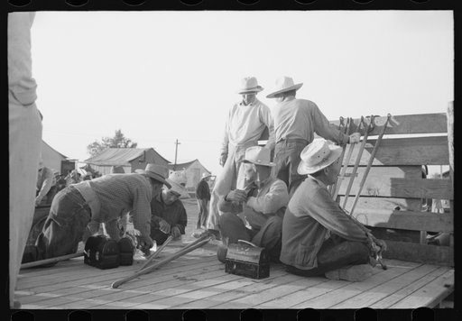 Nyssa, Oregon. FSA (Farm Security Administration) mobile camp. Trucks provided by local farmers are transporting Japanese-Americans from the camp to the fields