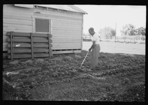 Malheur County, Oregon. Japanese-American who lives on the farm as a day laborer