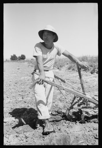 Malheur County, Oregon. Japanese-American who lives on the farm as a day laborer