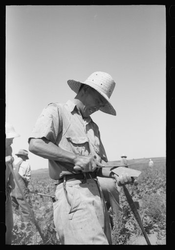 Nyssa, Oregon. FSA (Farm Security Administration) mobile camp. A Japanese-American farm worker sharpening a hoe