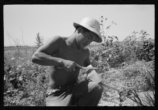 Nyssa, Oregon. FSA (Farm Security Administration) mobile camp. A Japanese-American farm worker sharpening a hoe