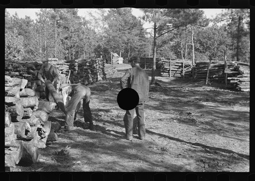 Untitled photo, possibly related to: Resettlement worker piling firewood on Eastern Shore Land Use Project, Maryland