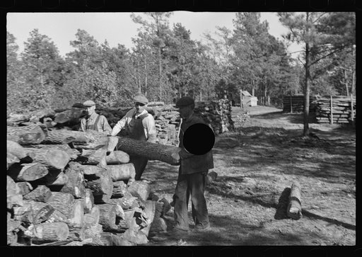 Untitled photo, possibly related to: Resettlement worker piling firewood on Eastern Shore Land Use Project, Maryland