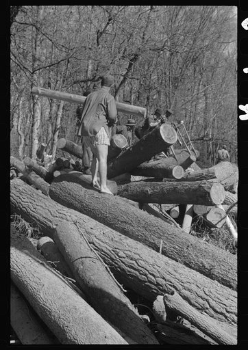 Untitled photo, possibly related to: Rolling logs into river near Littlefork, Minnesota