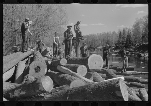 Untitled photo, possibly related to: Rolling logs into river, near Littlefork, Minnesota