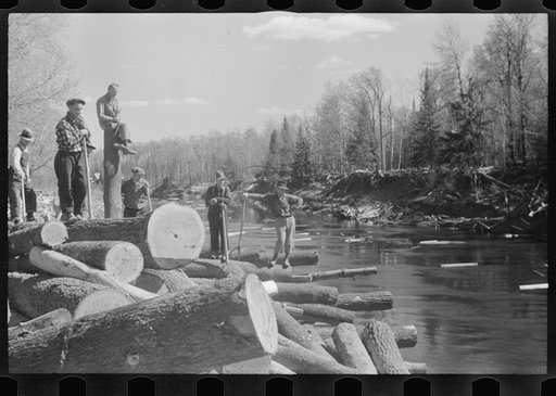 Untitled photo, possibly related to: Rolling logs into river, near Littlefork, Minnesota