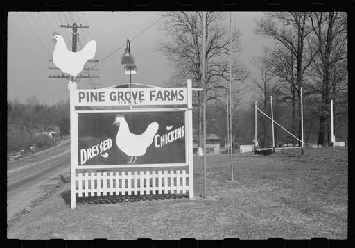 Advertisement for an egg and chicken farm on U.S. 1 between Washington, D.C. and Baltimore, Maryland