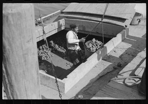 Unloading oysters, Rock Point, Maryland