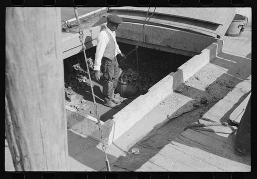 Untitled photo, possibly related to: Unloading oysters, Rock Point, Maryland