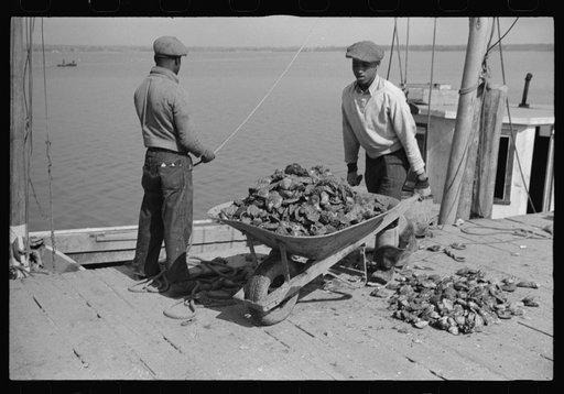 Untitled photo, possibly related to: Unloading oysters, Rock Point, Maryland