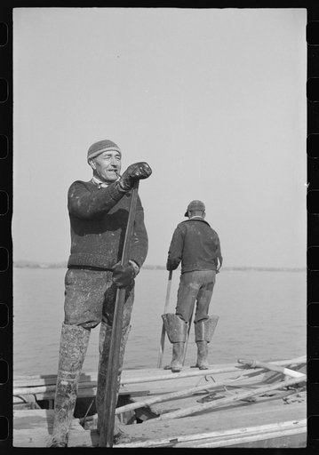 Untitled photo, possibly related to: Captain Stein, oysterman, Rock Point, Maryland