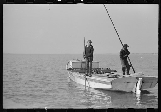 Untitled photo, possibly related to: Captain Stein, oysterman, Rock Point, Maryland