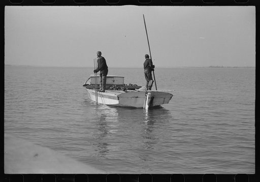 Untitled photo, possibly related to: Captain Stein, oysterman, Rock Point, Maryland