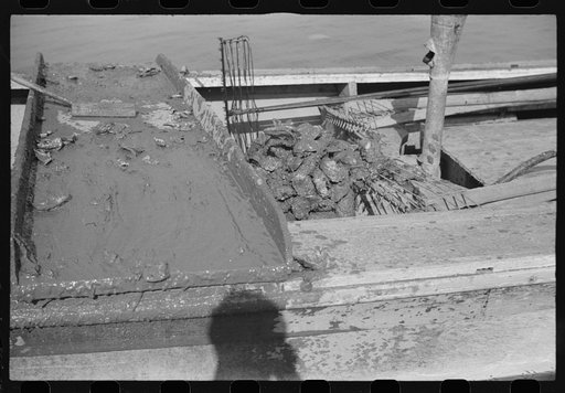 Culling board of oyster boat, Rock Point, Maryland
