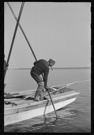 Oyster tonger, Rock Point, Maryland