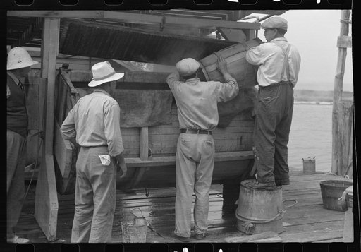 Untitled photo, possibly related to: Dumping crabs into cooker. Rock Point, Maryland
