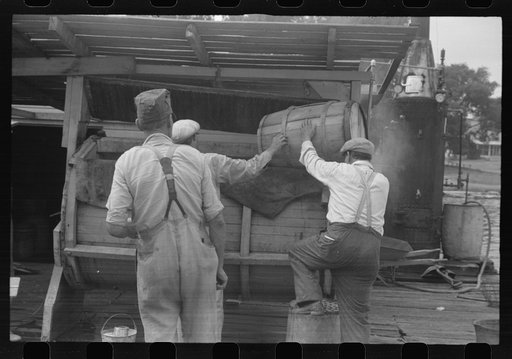 Dumping crabs into cooker. Rock Point, Maryland