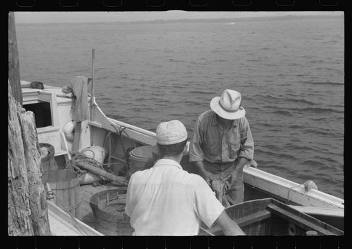 Untitled photo, possibly related to: Eastern shoreman checking motor before leaving for home. Rock Point, Maryland