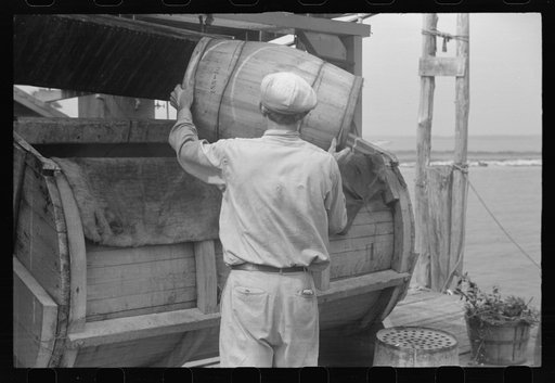 Dumping crabs into cooker. Rock Point, Maryland