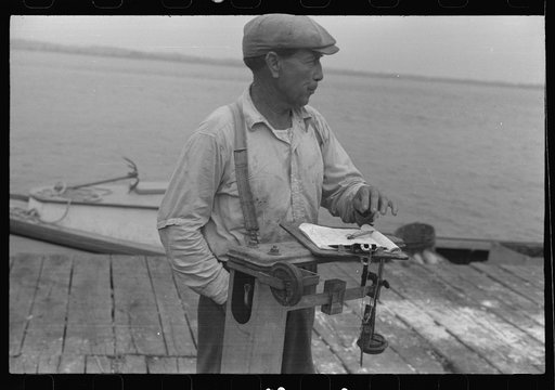 Untitled photo, possibly related to: Dumping crabs into cooker. Rock Point, Maryland