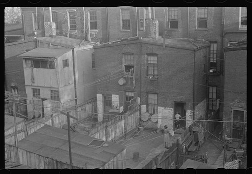 Washington, D.C. A view of backyards of apartment houses where both white and Negro families are living