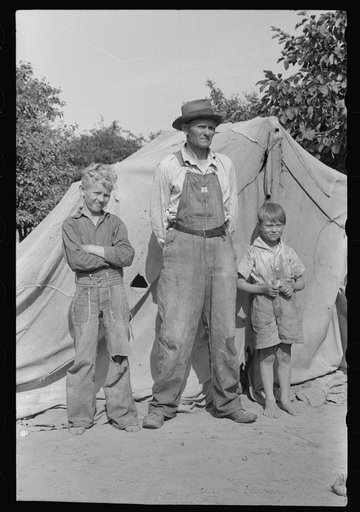 Father and sons who pick fruit in Berrien County, Michigan. They are from Arkansas