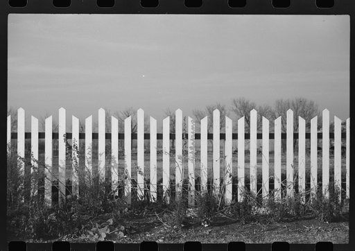 Fence on large farm in Red River Valley. Cass County, North Dakota