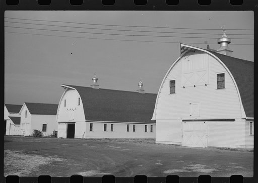 Grain elevator on large farm in Red River Valley. Cass County, North Dakota