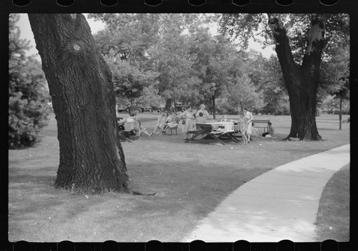 Untitled photo, possibly related to: Bridge game following Sunday afternoon picnic. Vincennes, Indiana