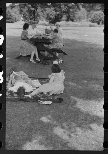 Untitled photo, possibly related to: Bridge game following Sunday afternoon picnic. Vincennes, Indiana