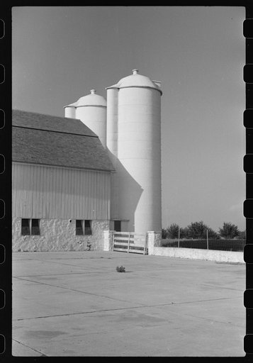 Untitled photo, possibly related to: Dairy farm, Fond du Lac County, Wisconsin