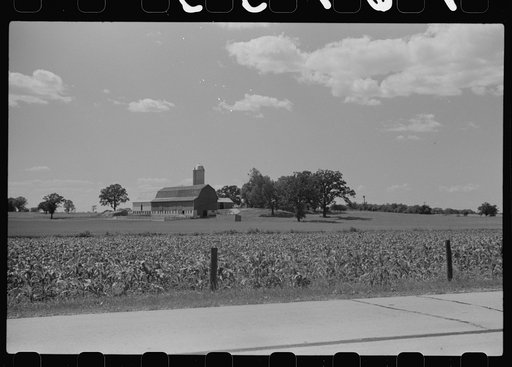 Untitled photo, possibly related to: Corn and dairy farm, Dodge County, Wisconsin