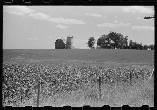 Corn and dairy farm, Dodge County, Wisconsin