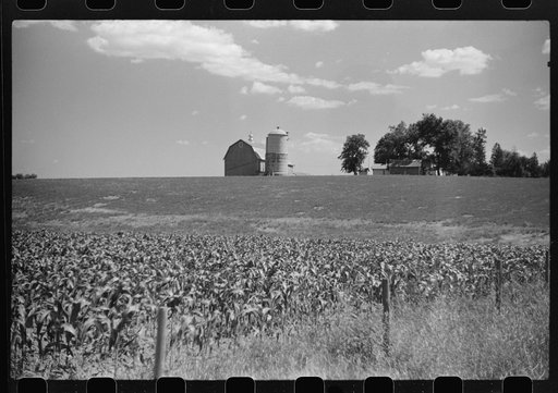 Untitled photo, possibly related to: Corn and dairy farm, Dodge County, Wisconsin