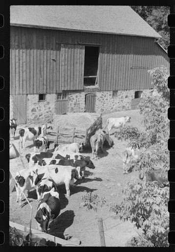 Untitled photo, possibly related to: Barnyard, Dodge County, Wisconsin