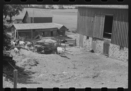 Untitled photo, possibly related to: Barnyard, Dodge County, Wisconsin