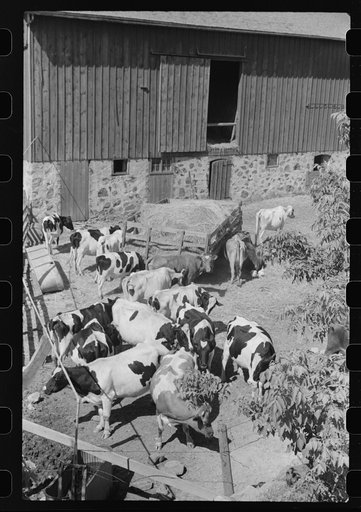 Barnyard, Dodge County, Wisconsin