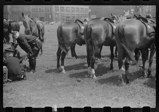 Untitled photo, possibly related to: Policemen, Chicago, Illinois