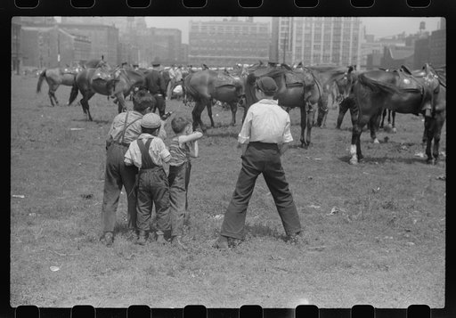 Boys admiring horses of Chicago, Illinois police department
