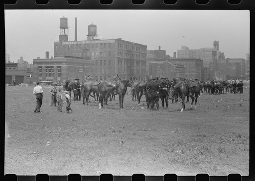 Untitled photo, possibly related to: Policemen, Chicago, Illinois