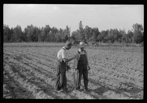 Untitled photo, possibly related to: Closeup of a tobacco planter in use. The hand in the upper left is holding a tobacco plant to be dropped into the planter. Near Chapel Hill, North Carolina