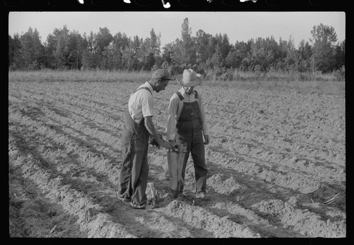 Untitled photo, possibly related to: Closeup of a tobacco planter in use. The hand in the upper left is holding a tobacco plant to be dropped into the planter. Near Chapel Hill, North Carolina