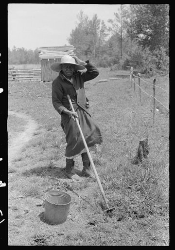 Untitled photo, possibly related to: Negro woman tending her garden near Princess Anne, Maryland