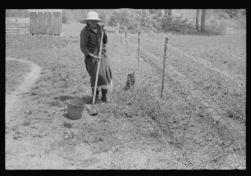 Untitled photo, possibly related to: Negro woman tending her garden near Princess Anne, Maryland