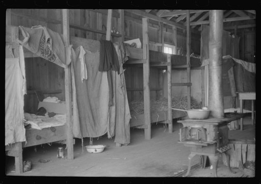Living quarters for migratory agricultural workers during strawberry season at Picket's Landing, Virginia